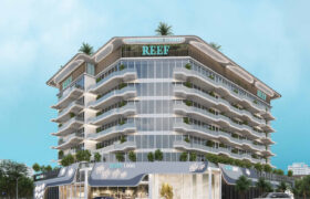 Reef 1000